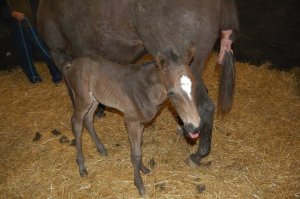 199097_2011372443517_6967692_n