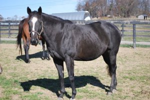 200368_102791829806954_3827892_n