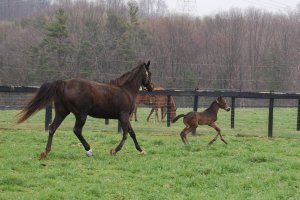 204252_107308902688580_2976807_o