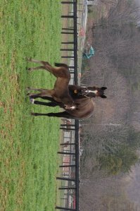 204551_107308926021911_5182566_o