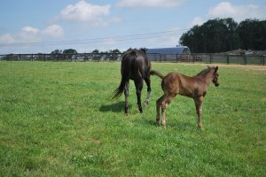 243579_121624641257006_4006214_o