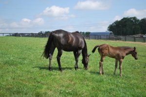 243957_121624711256999_1514136_o