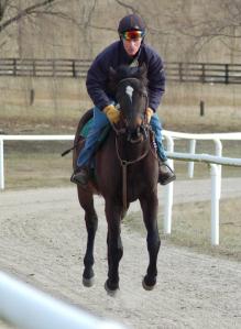 269345_10200471140480608_375297127_n