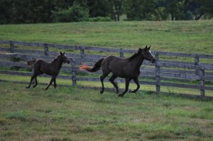 278813_138584716227665_5492269_o