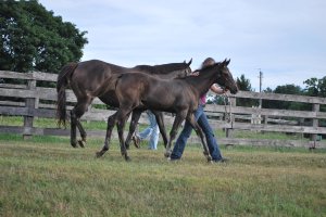 280826_138584852894318_3415252_o