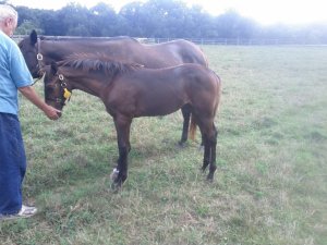 287868_2351598708961_7702121_o