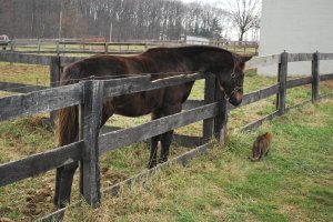 328639_202782193141250_492836746_o