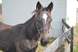 333011_202782799807856_1739382757_o