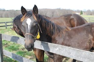 334077_202782859807850_986871679_o