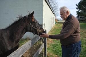 336264_202782716474531_342450679_o