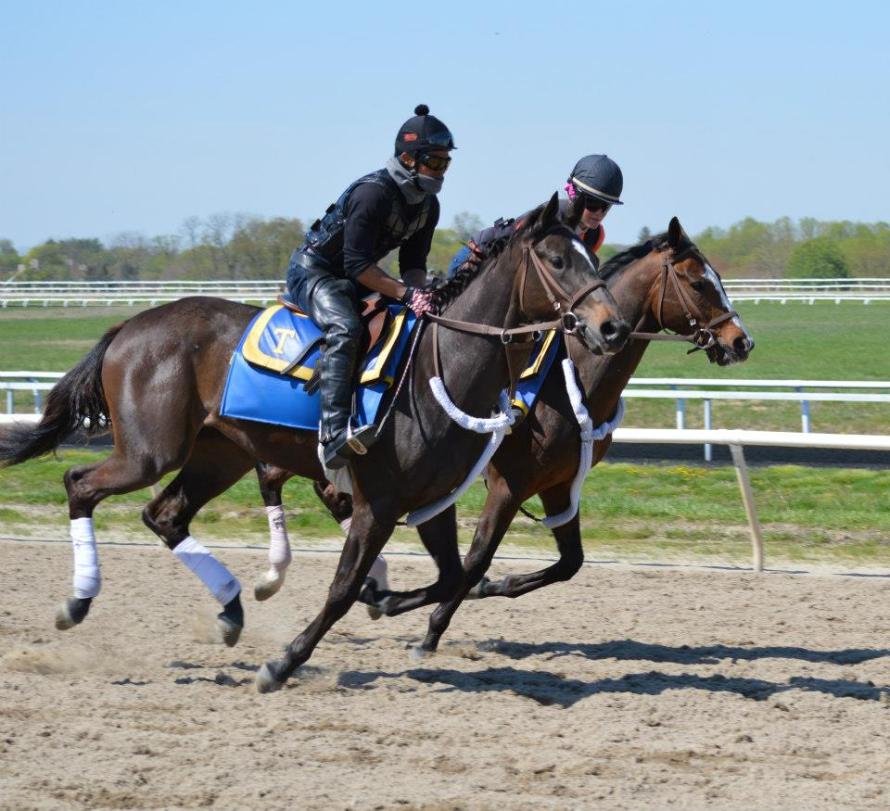 397849_10201102268018402_2085580068_n