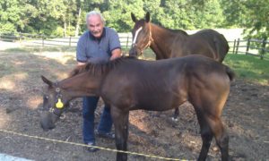 407716_225447670874702_1882628219_n