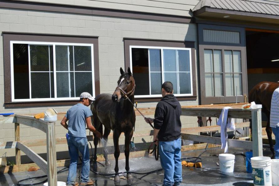 419301_10201102268778421_1544289241_n