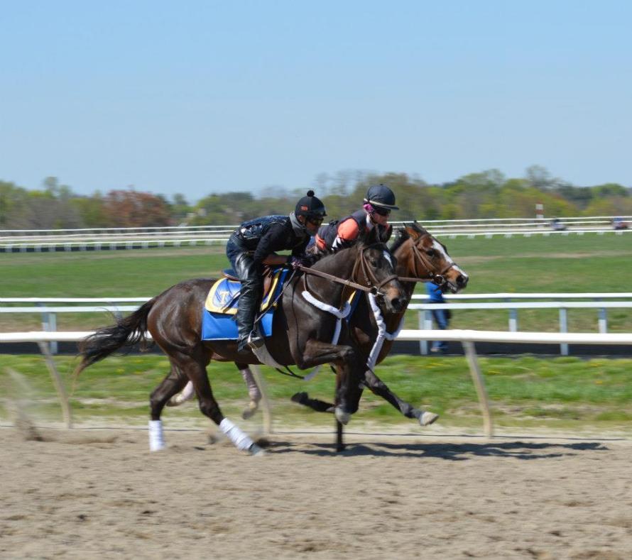 420710_10201102268138405_1596309563_n