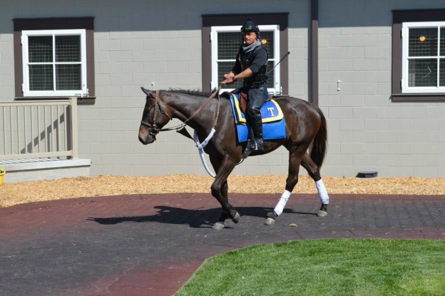 537916_10201102267498389_283917371_n