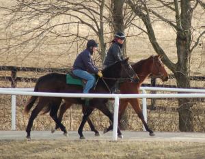 540099_10200471140440607_1134274368_n