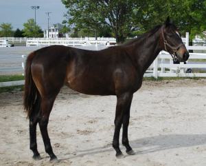 546104_3940988722718_777904047_n