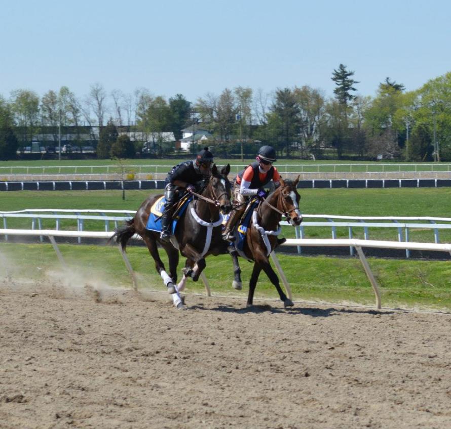 562473_10201102267778396_993381265_n