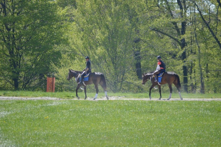 562568_10201102268538415_2076785123_n