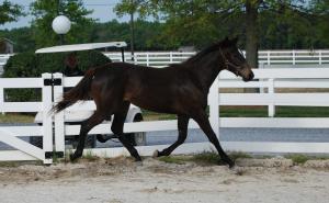 581570_3940983362584_2060905124_n