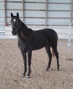 621317_4748200342504_1447090694_o