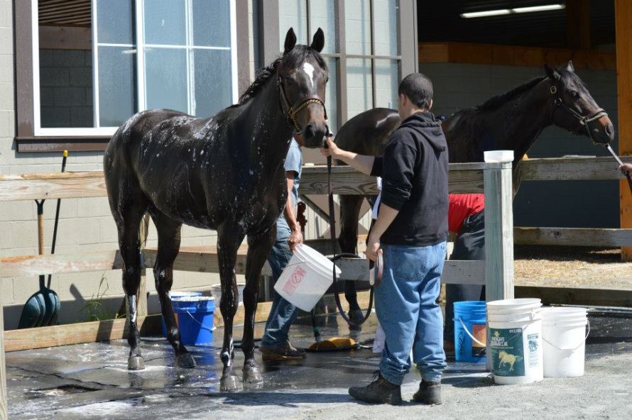 931396_10201102269258433_925664882_n