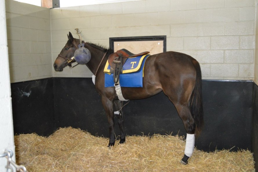 936240_10201102267338385_419368200_n