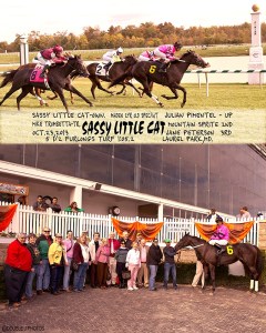 sassy little cat win 10-23-2013