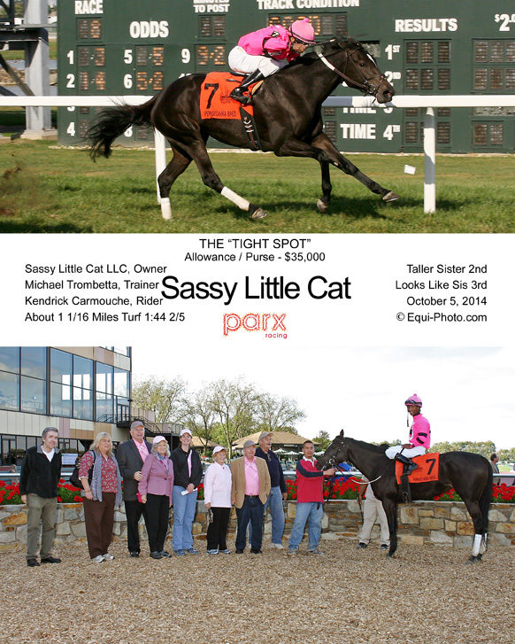 10-05-14 P 08 Sassy Little Cat COMP_Low