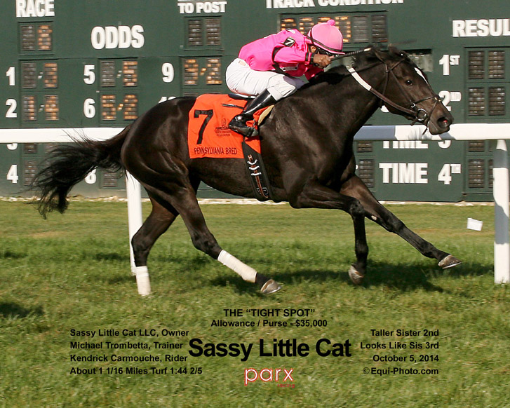 10-05-14 P 08 Sassy Little Cat FIN LETT_low