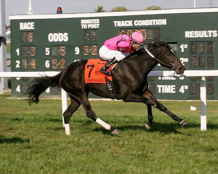 10-05-14 P 08 Sassy Little Cat FIN_Low