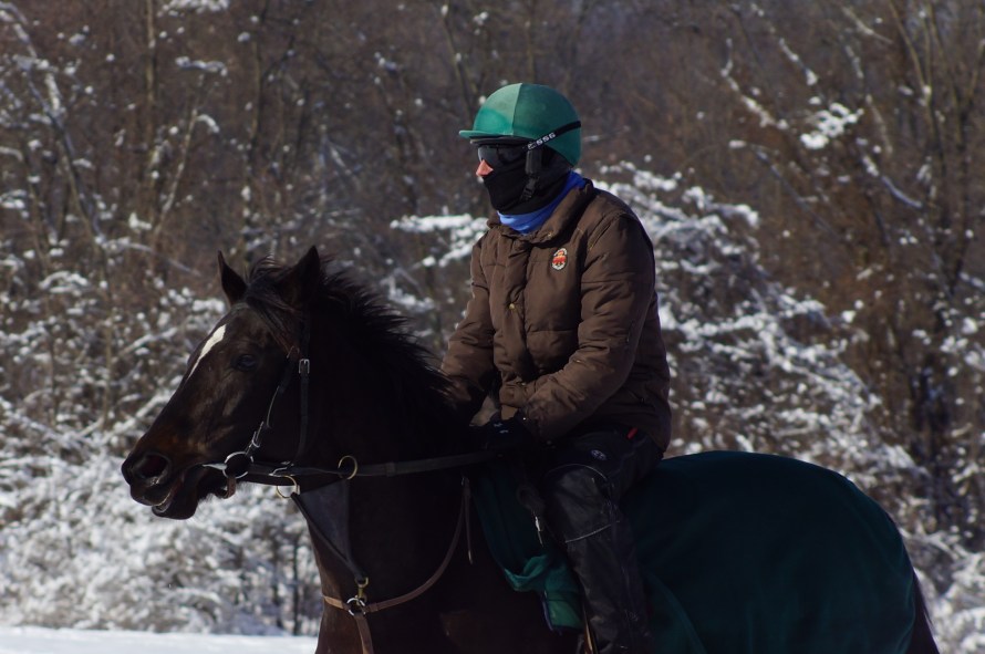 DSC09946 just a nose