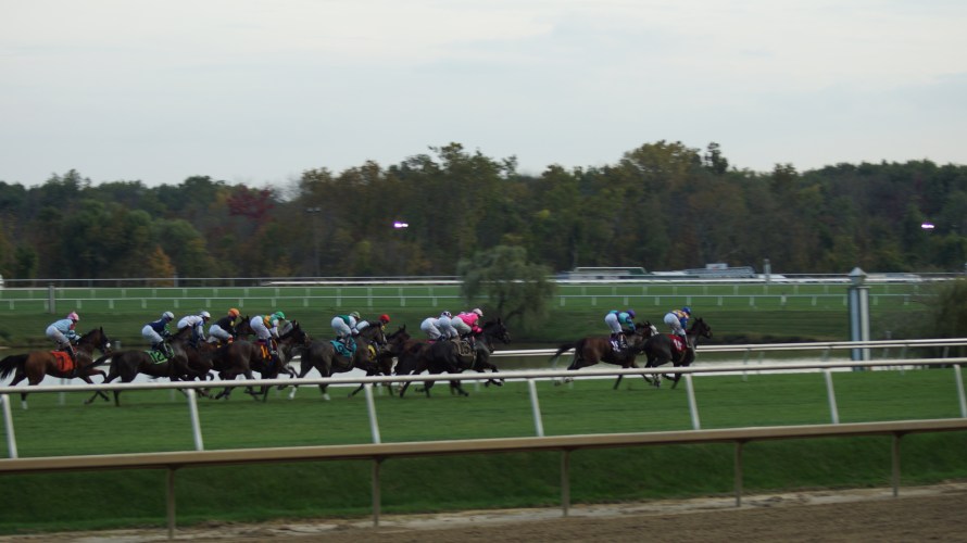 DSC03003